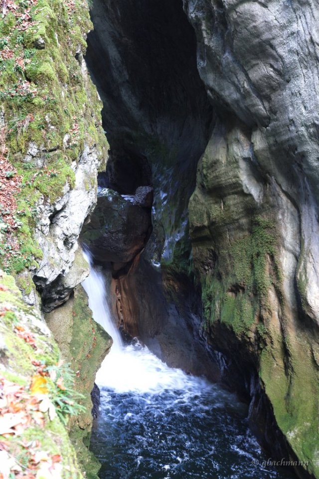 20101030_092